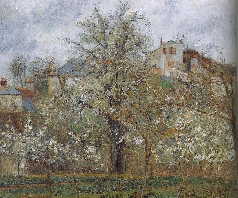 Camille Pissarro spring flowering gardens and trees China oil painting art